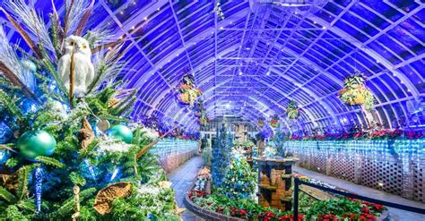 The Spellbinding Transformation of Phipps for the Holiday Season